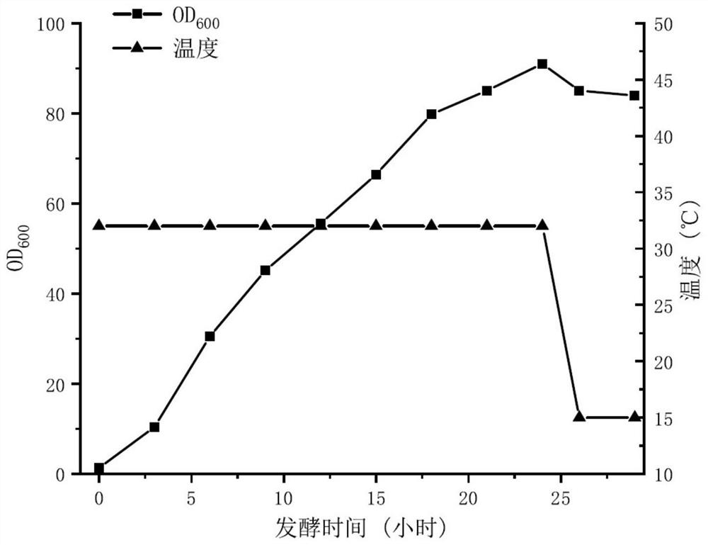 Method for producing ice nucleation protein by fermentation of recombinant Escherichia coli