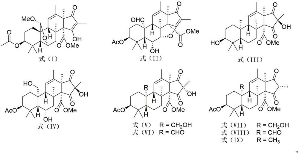 A class of andrastone compound and its preparation method and application in the preparation of antiallergic drugs