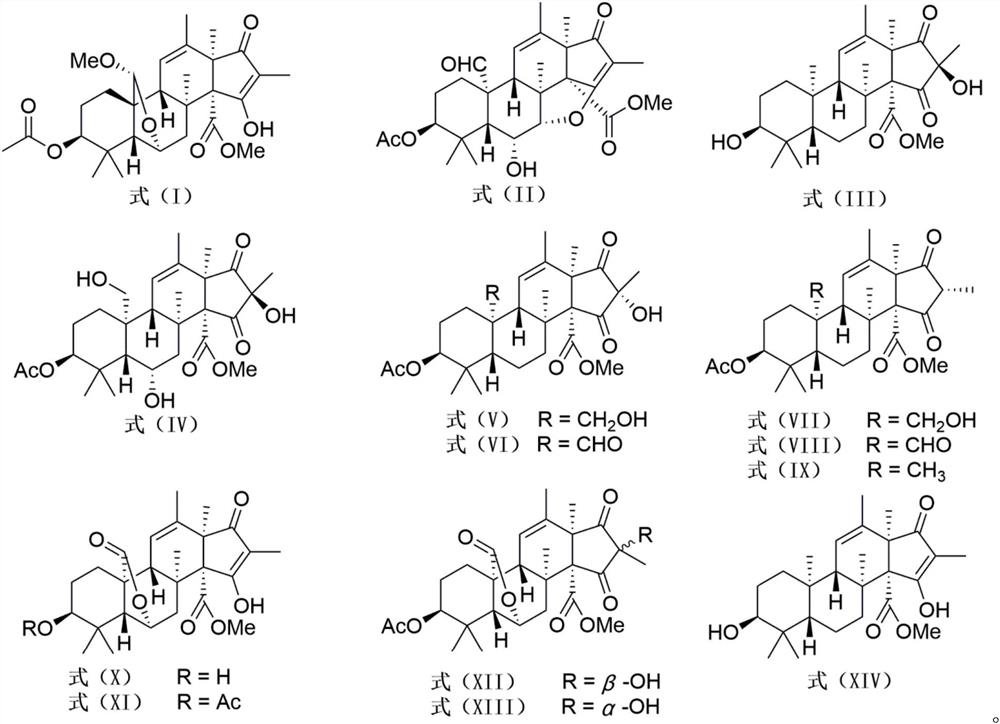 A class of andrastone compound and its preparation method and application in the preparation of antiallergic drugs