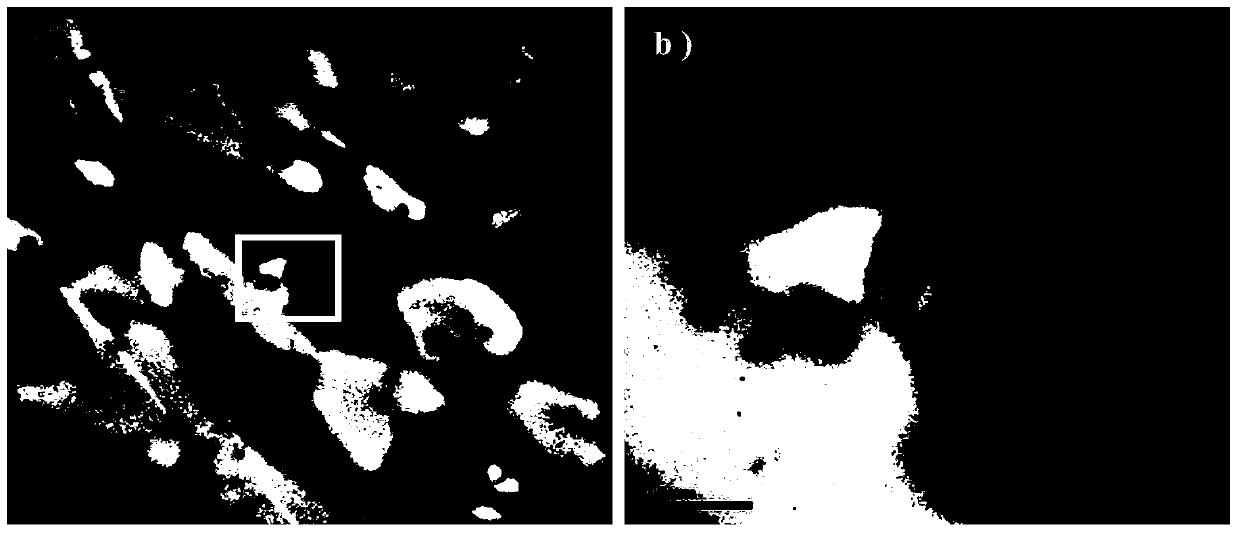 Method for preparing graphene composite with low percolation threshold value and high heat stability