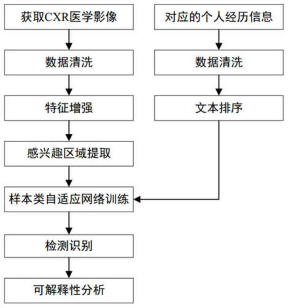 COVID-19 identification method based on multi-information sample class adaptive classification network