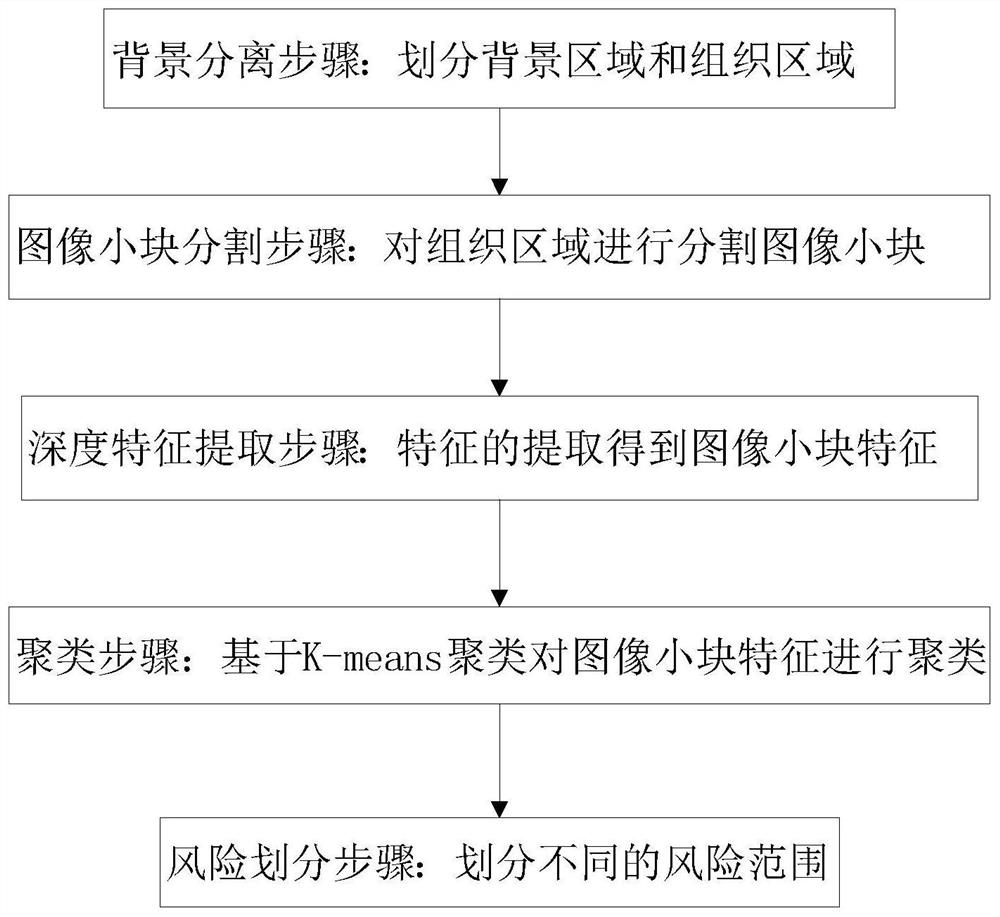 Colorectal cancer pathological image prognosis auxiliary prediction method and system