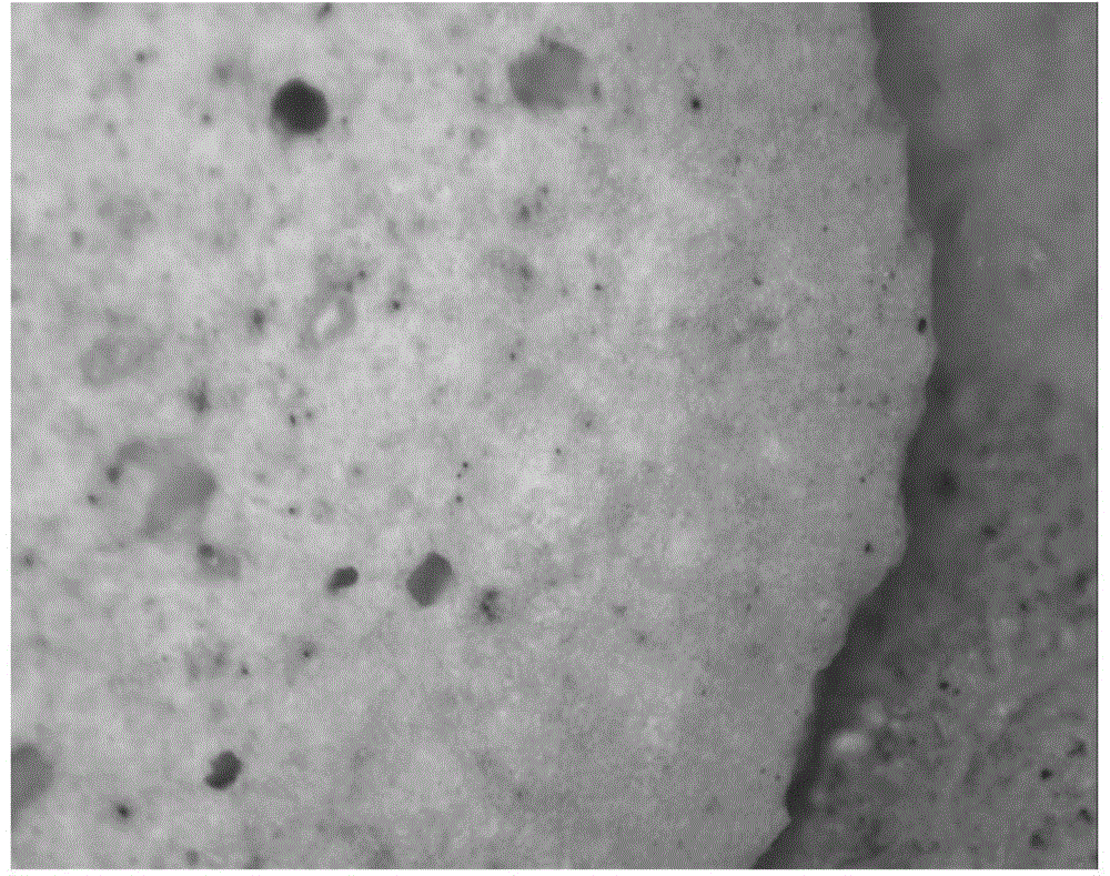 Light ceramsite co-sintered on surface by virtue of magnesium chloride and preparation method of light ceramsite