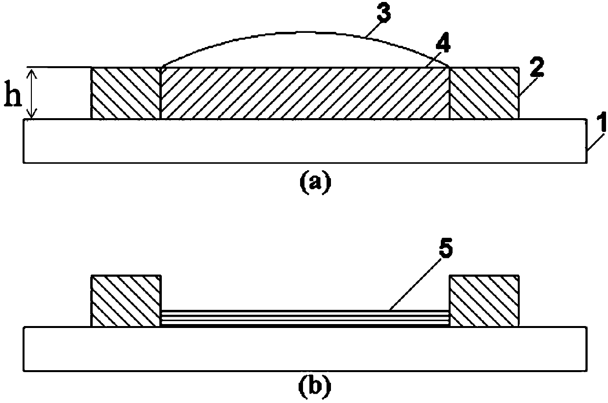 Hole injection layer ink for inkjet printing and application thereof in organic light-emitting display