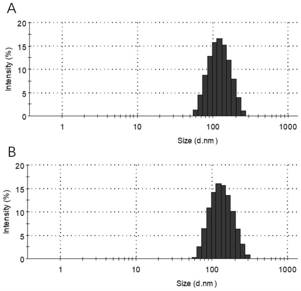 Bionic exosome as well as preparation and application thereof