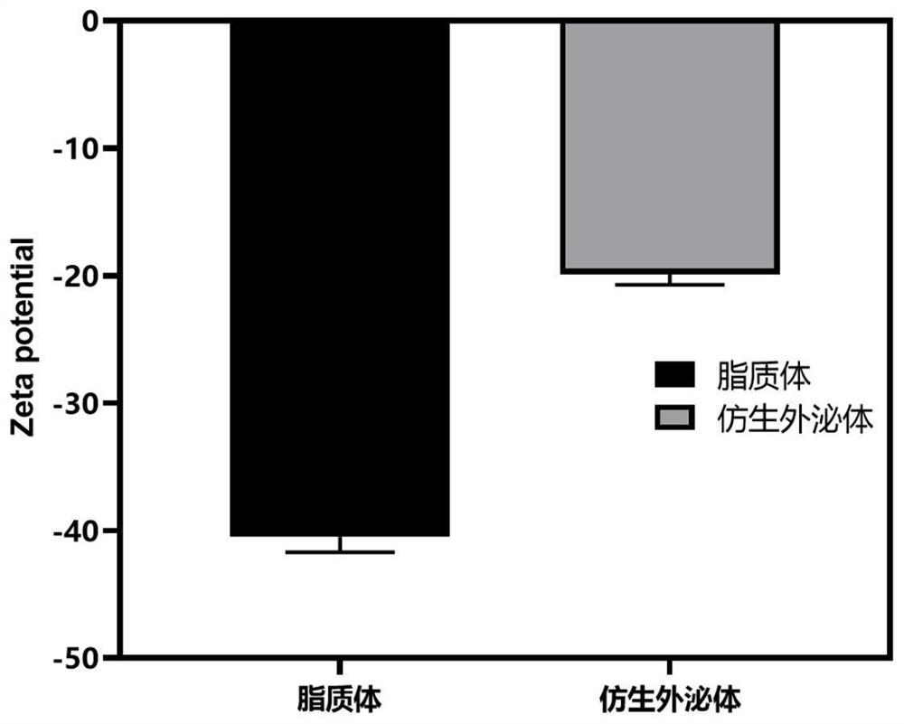 Bionic exosome as well as preparation and application thereof