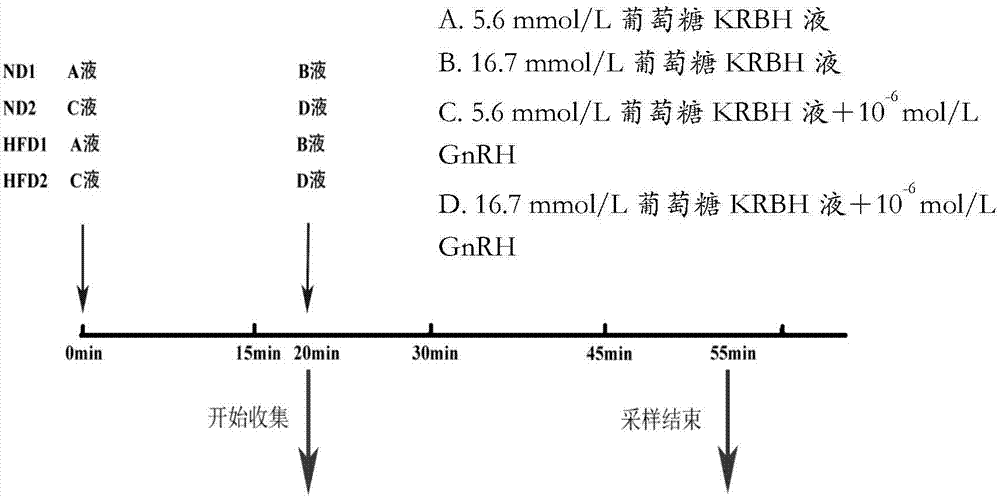 Application of pancreatic GnRH receptor function regulator to preparation of drugs used for treating type 2 diabetes