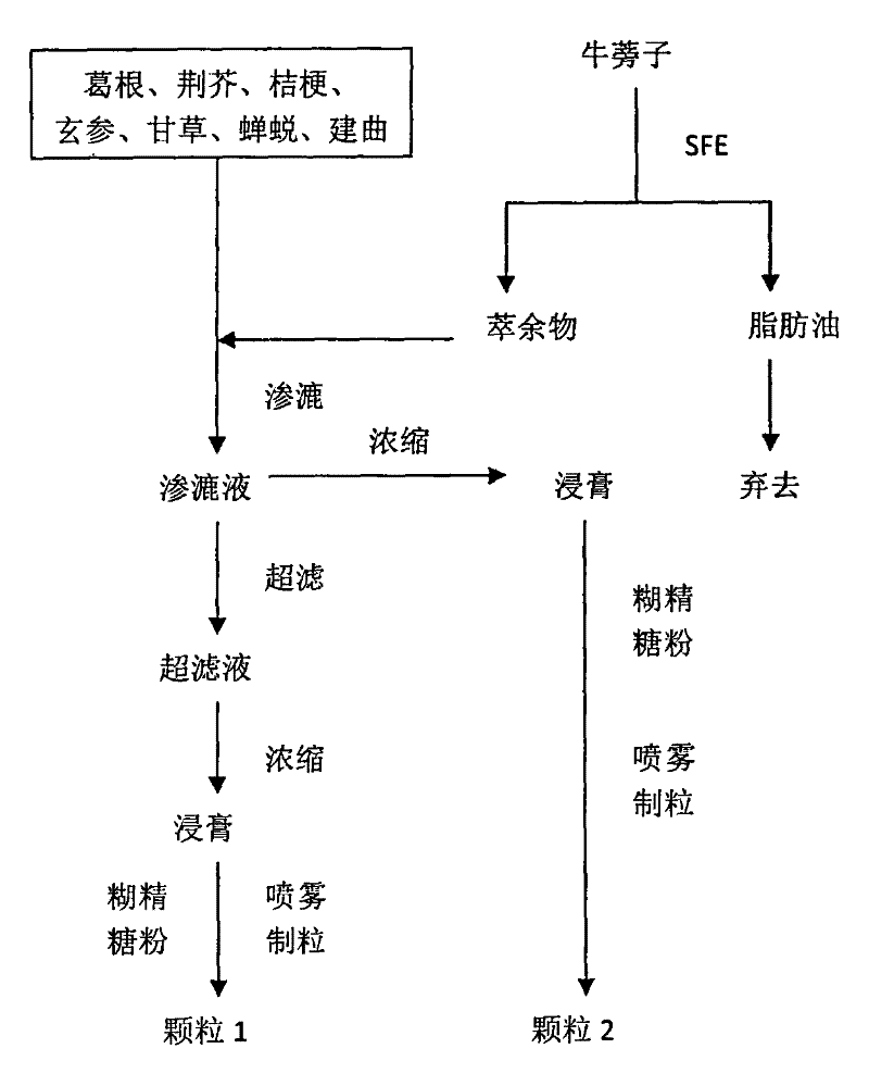 Preparation method of influenze granule for children