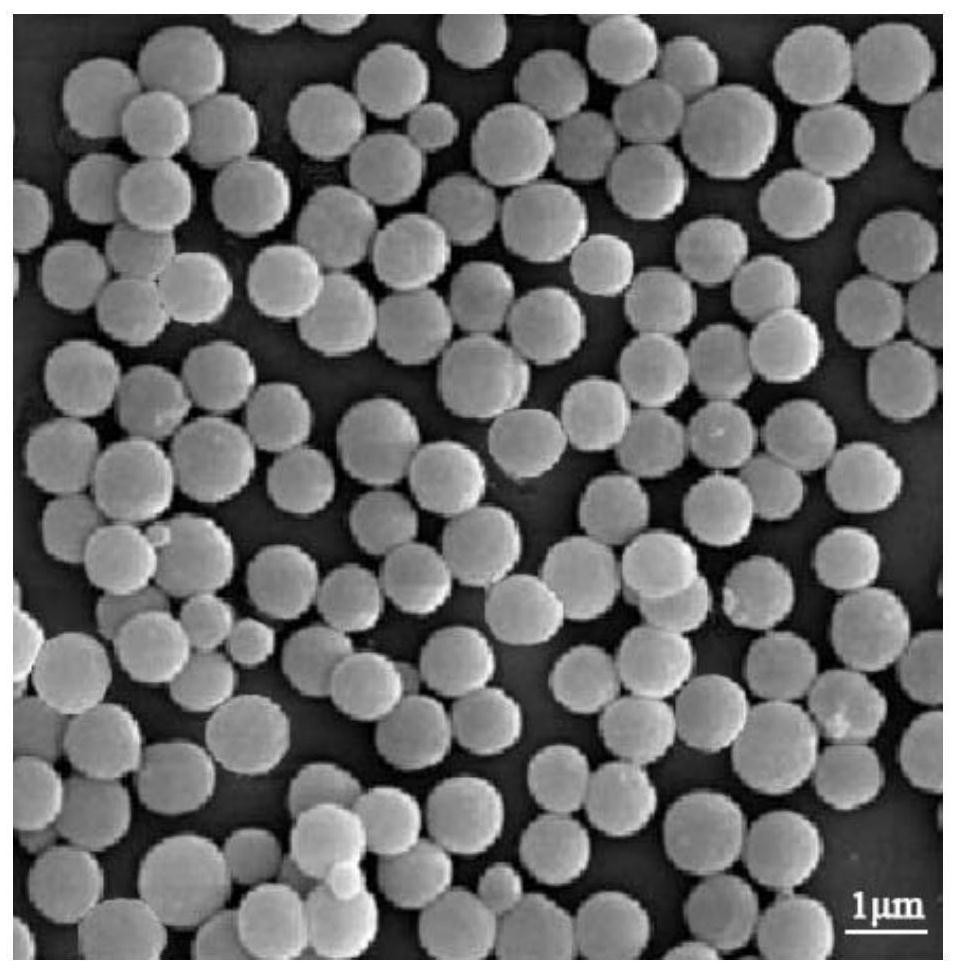 Polar polymer microparticles, preparation method and use thereof