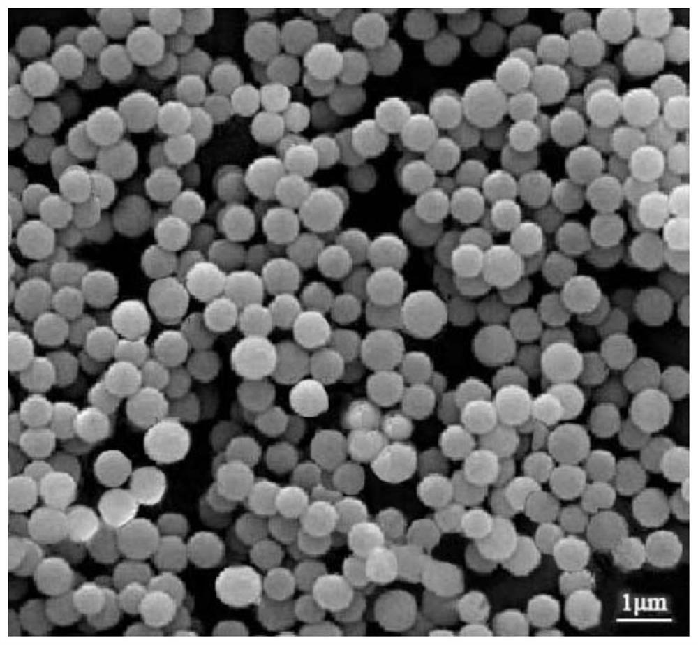 Polar polymer microparticles, preparation method and use thereof