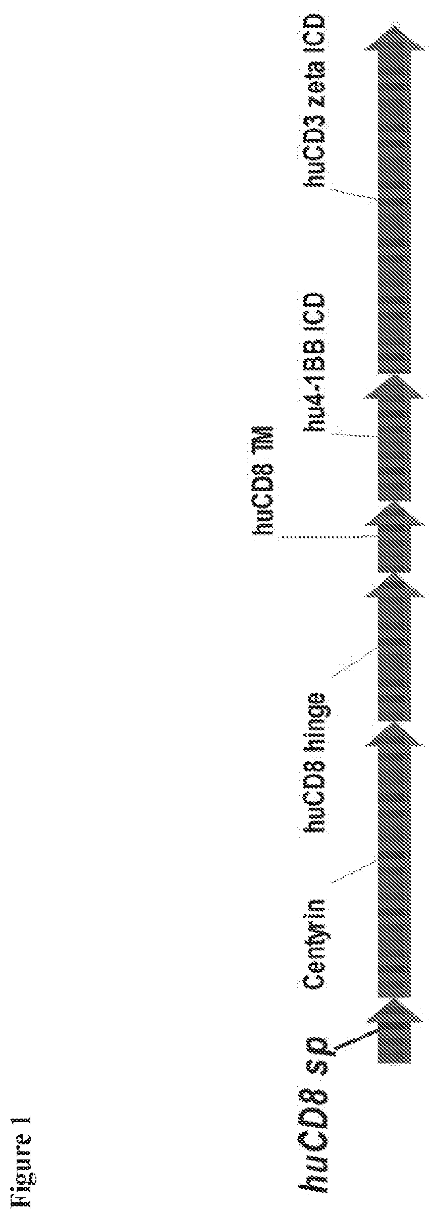 Chimeric antigen receptors comprising bcma-specific fibronectin type iii domains and uses thereof