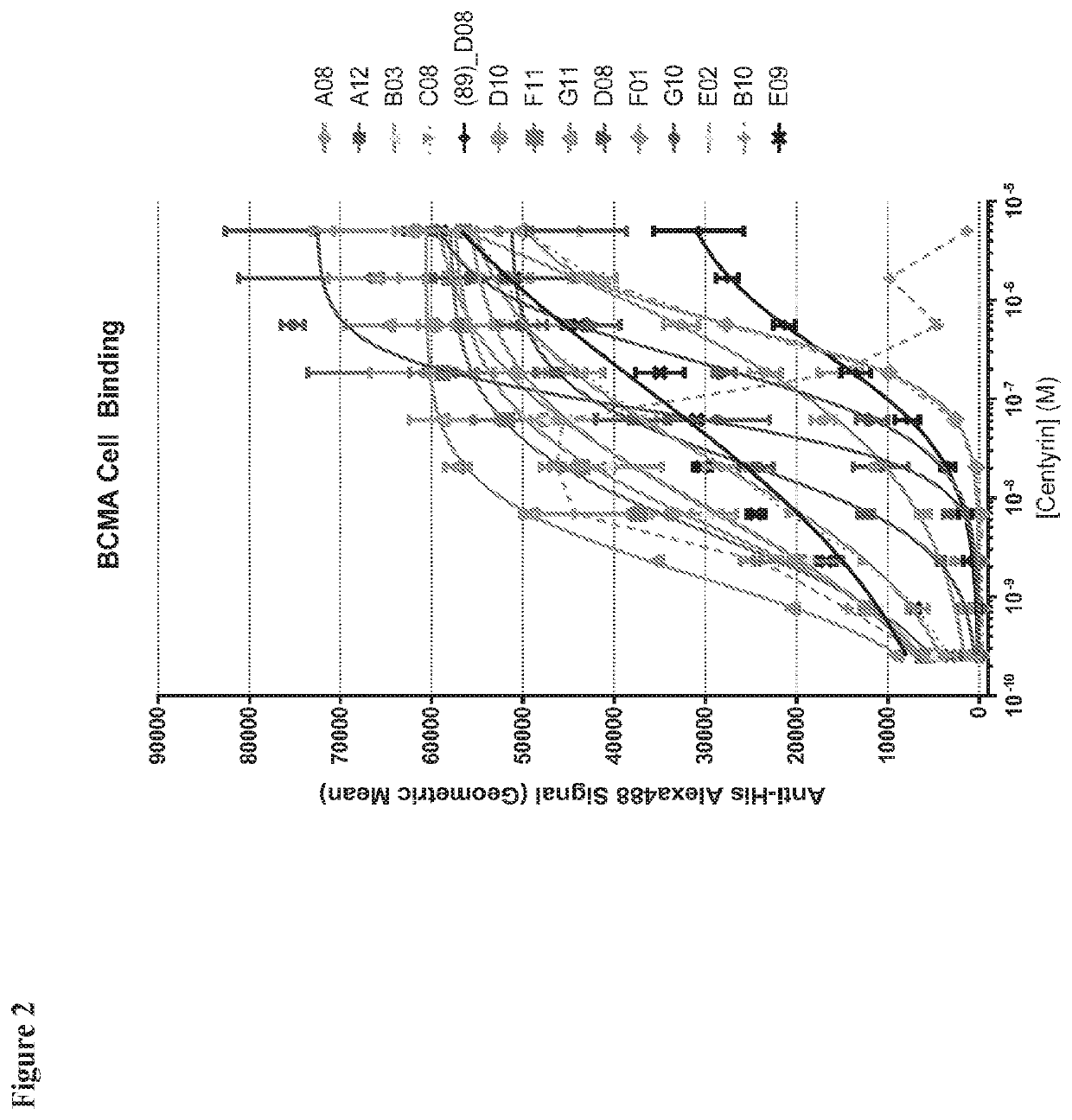 Chimeric antigen receptors comprising bcma-specific fibronectin type iii domains and uses thereof