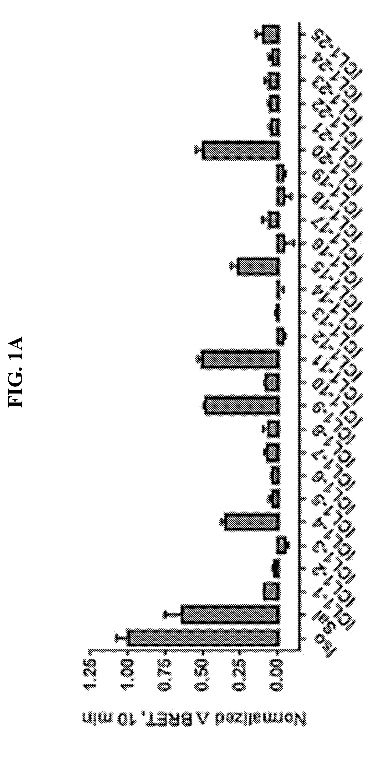 Treatment of cardiovascular disease with compounds that promote selective interaction of the b2-adrenergic receptor with b-arrestin