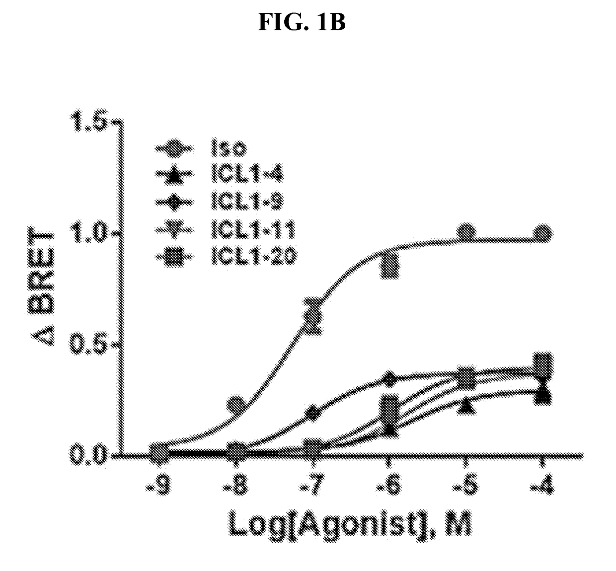 Treatment of cardiovascular disease with compounds that promote selective interaction of the b2-adrenergic receptor with b-arrestin