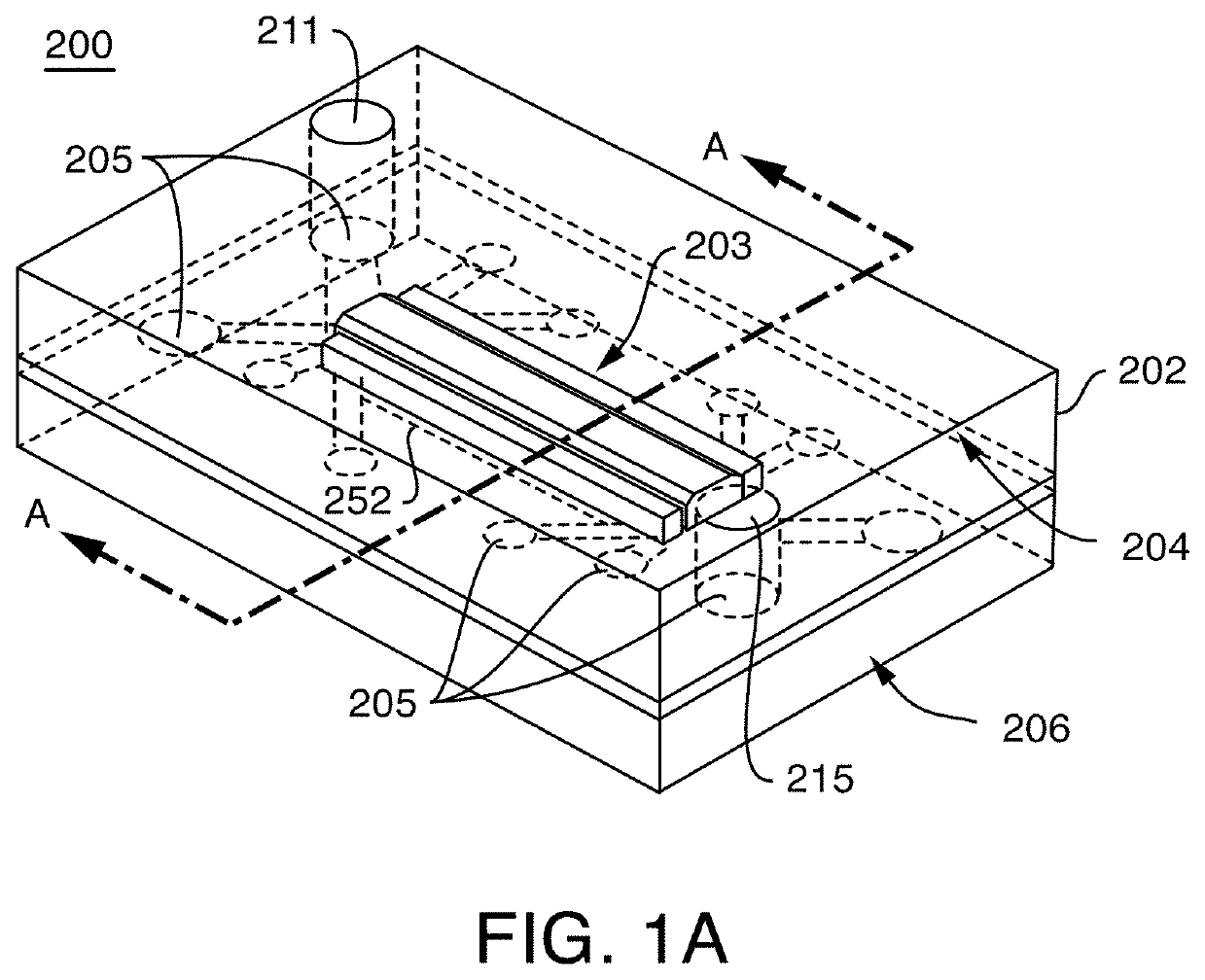 Microfluidic proximal tubule kidney-on-chip