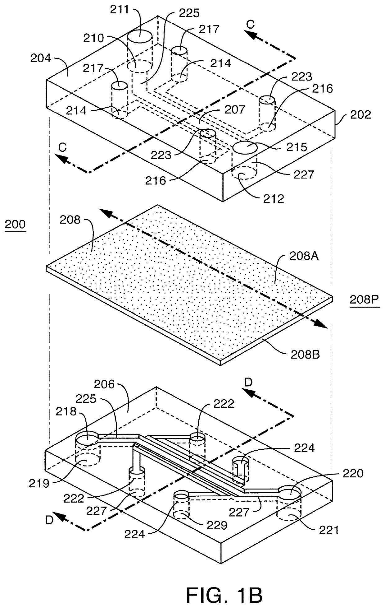 Microfluidic proximal tubule kidney-on-chip