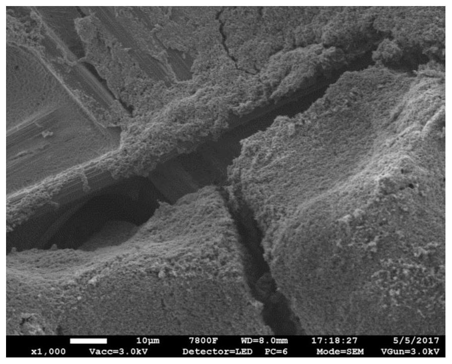 A kind of conductive gas diffusion layer of fuel cell and its preparation method