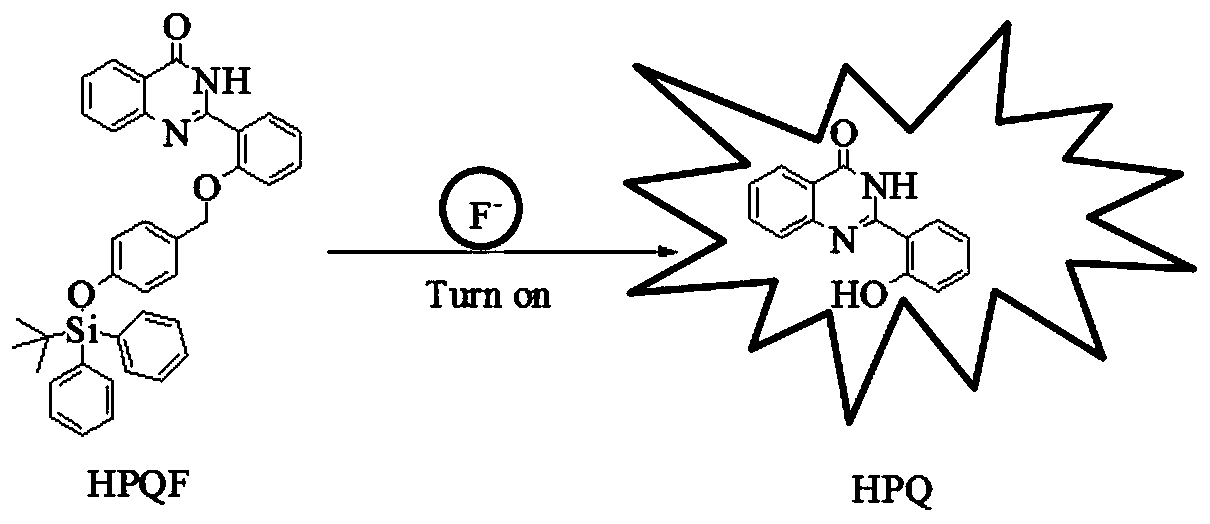 A fluorescent probe for detecting fluoride ions in living cells and its preparation method