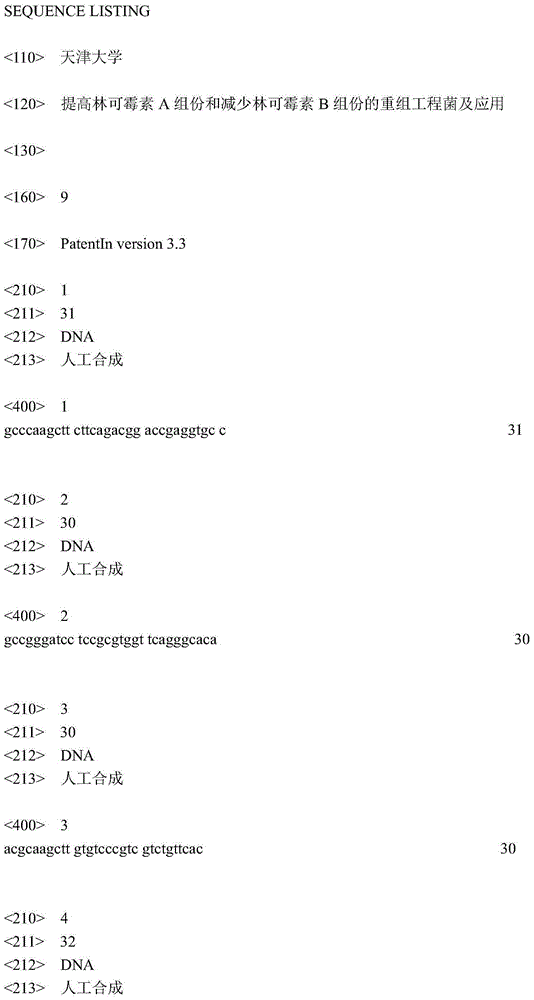 Recombinant bacterium for improving lincomycin component A and reducing lincomycin component B and application thereof