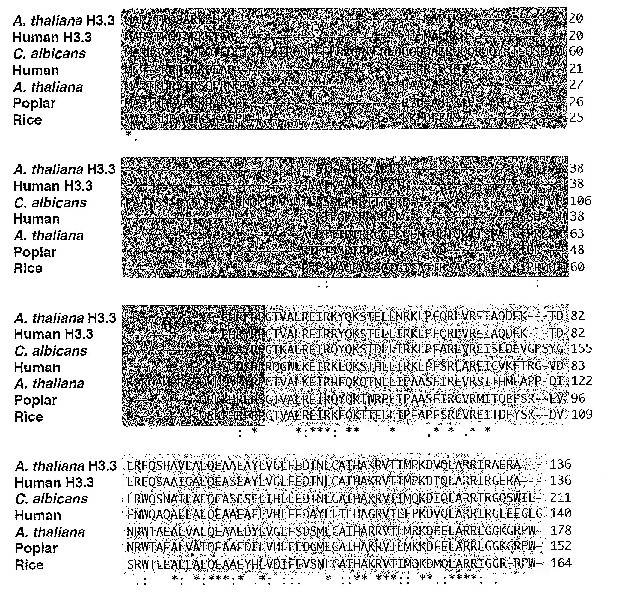 Generation of haploid plants and improved plant breeding