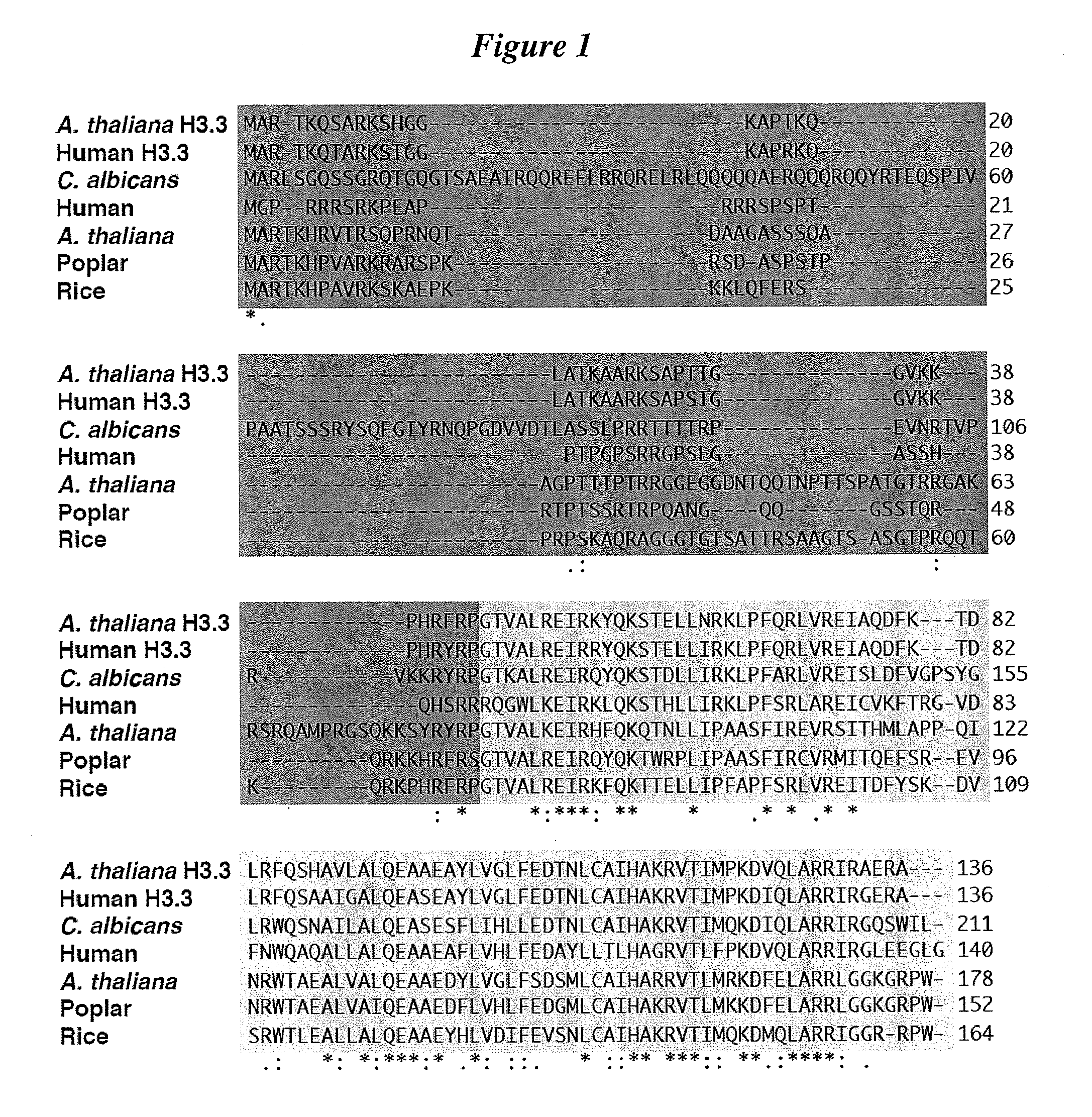 Generation of haploid plants and improved plant breeding