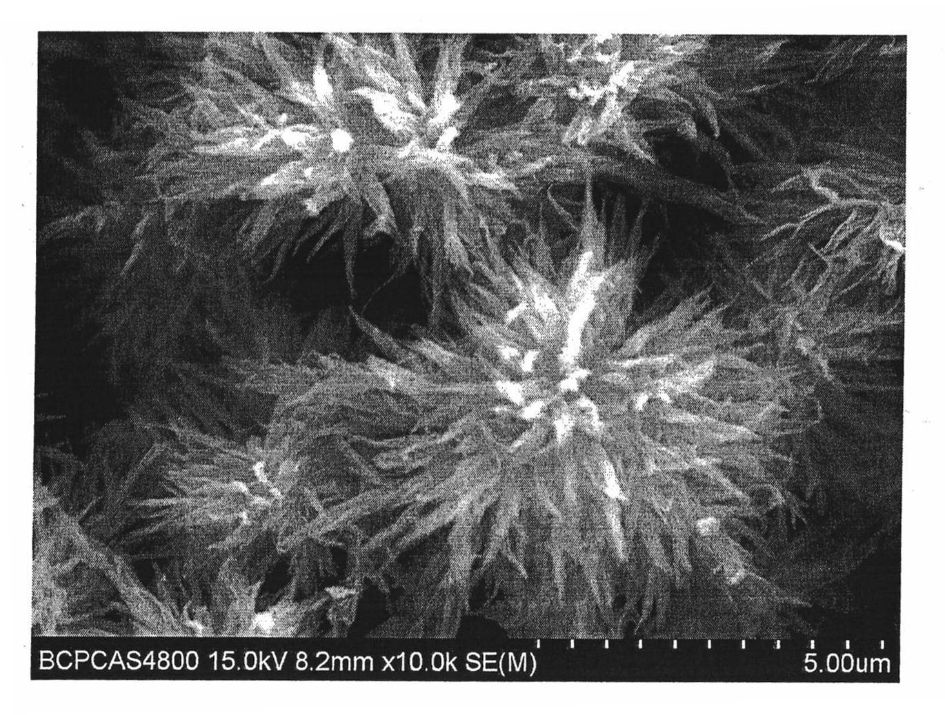 Mumm-shaped 3D TiO nanometer material and preparation method thereof