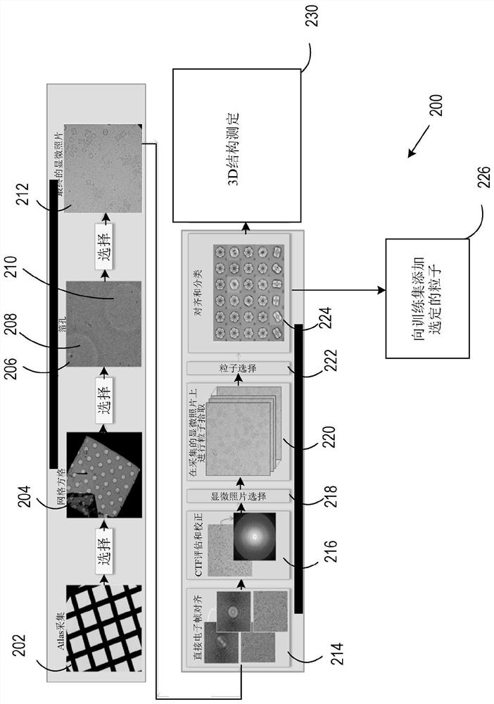 Using convolution neural networks for on-the-fly single particle reconstruction