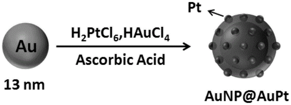 A preparation method of nanoparticles with strong catalase activity