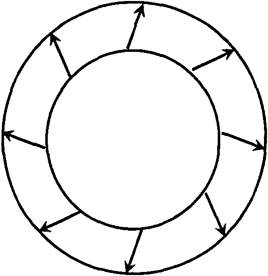 Adjustable ring vector light beam producing system