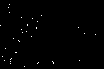 Preparation method of sulfuration-type hydrogenation catalyst