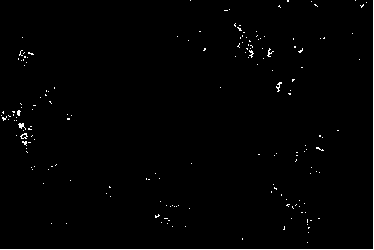 Preparation method of sulfuration-type hydrogenation catalyst