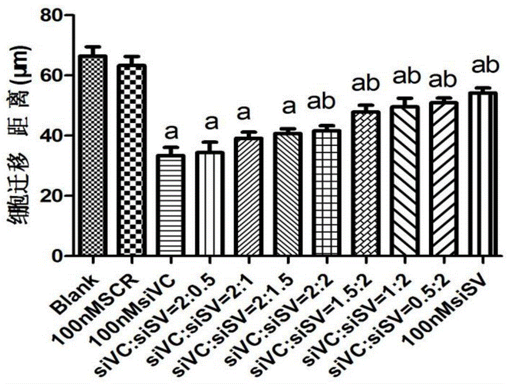 siRNA dual-interference composition for inhibiting growth and metastasis of tumors and application thereof