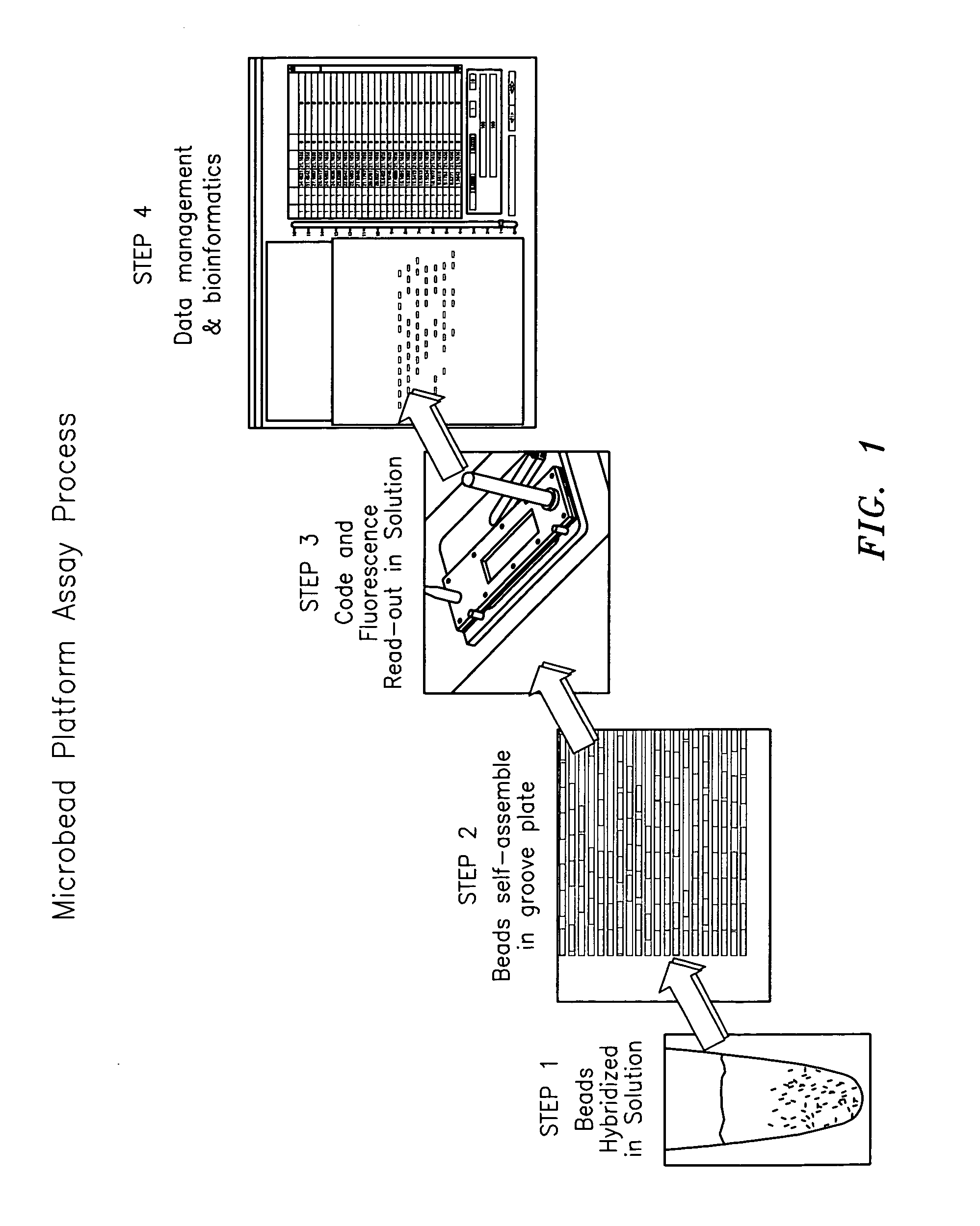 Method and apparatus for aligning microbeads in order to interrogate the same