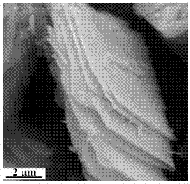 Co3O4 nano lamellar material and preparation method and application thereof