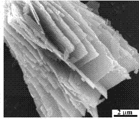 Co3O4 nano lamellar material and preparation method and application thereof