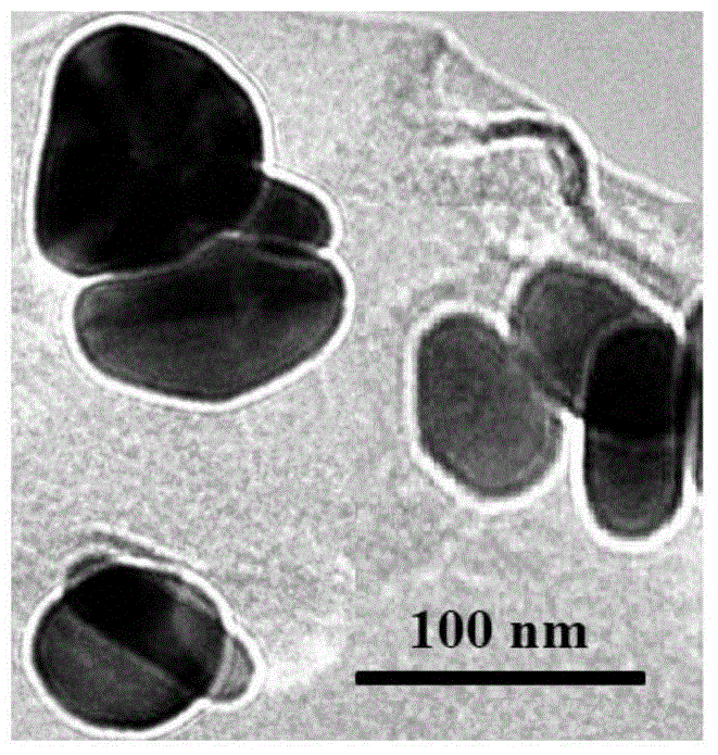 Nano material and external radiation source-containing tumor treatment medicine for realizing tumor vascular occlusion