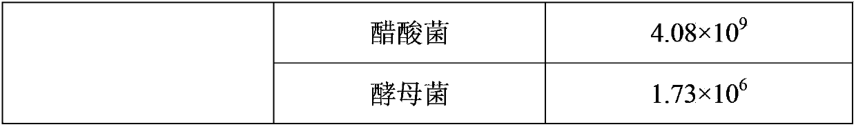 Solid Kefir dairy product and preparation method thereof