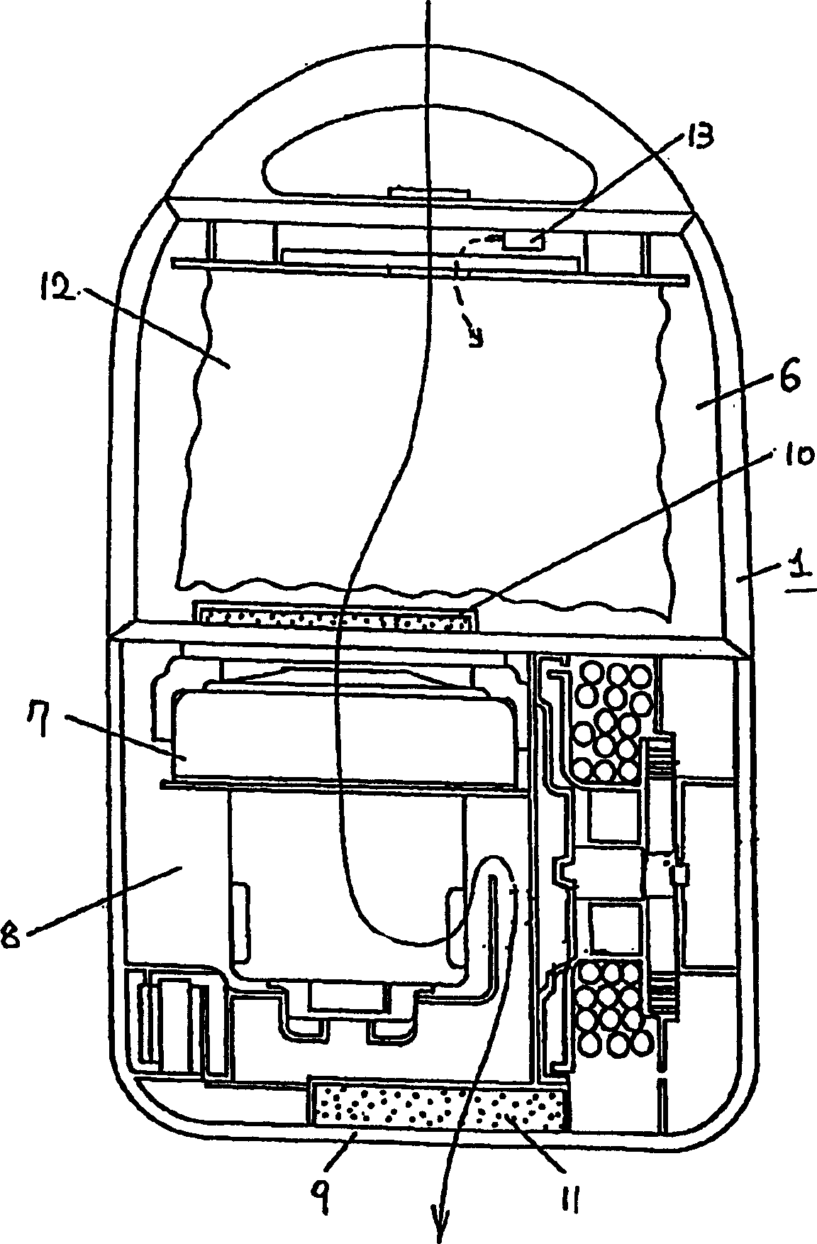 Electric dust remover and head of electric dust remover