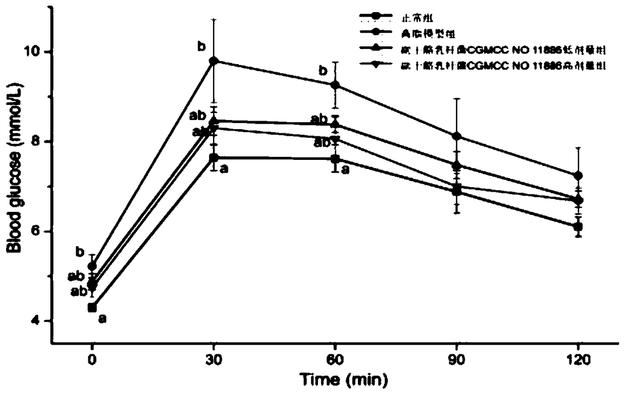 Lactobacillus rhamnosus with hyperlipidemia inhibiting effect and application of lactobacillus rhamnosus