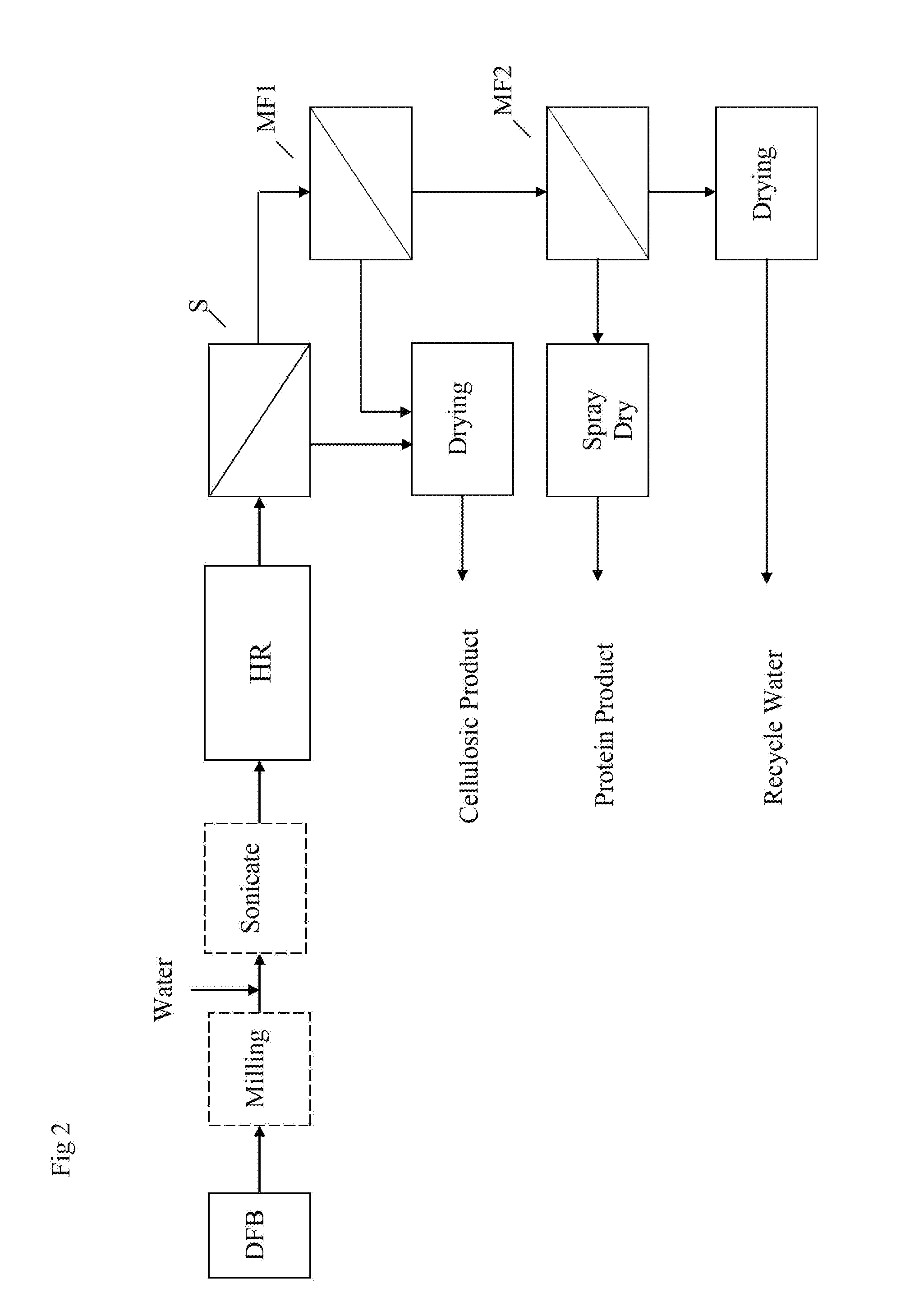 Process for Producing Protein Concentrate and A Cellulosic Residue Material From Defatted Rice Bran