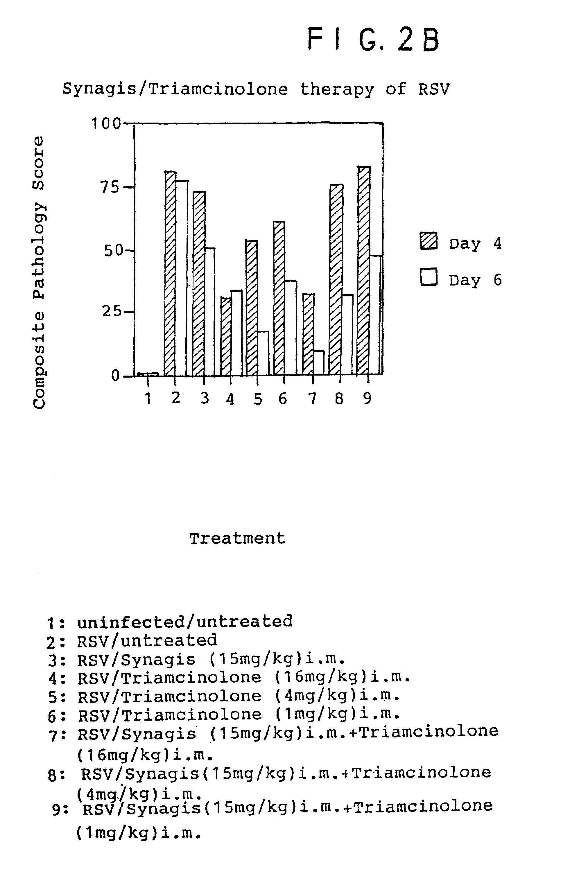 Combination therapy of respiratory diseases using antibodies and anti-inflammatory agents