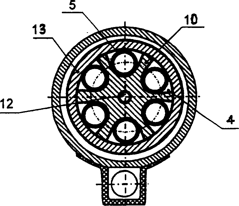 Pneumatic powder spraying apparatus