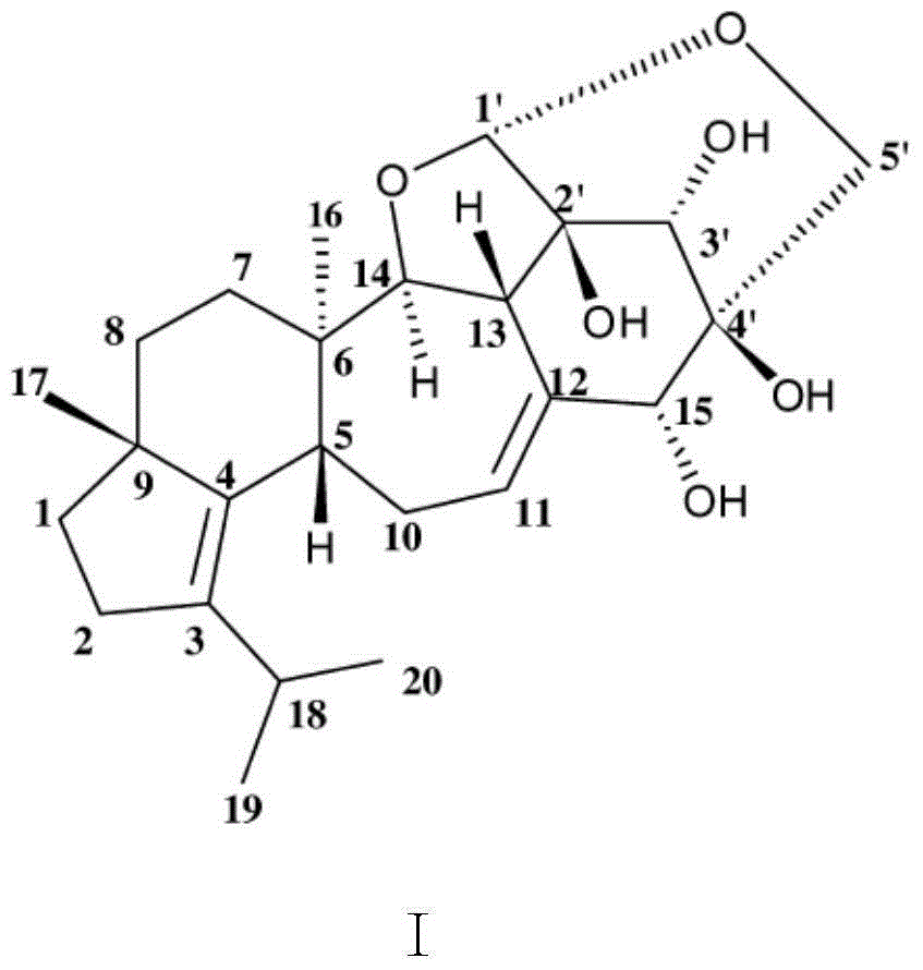 Hericium erinaceus isolate and isolating method and application thereof