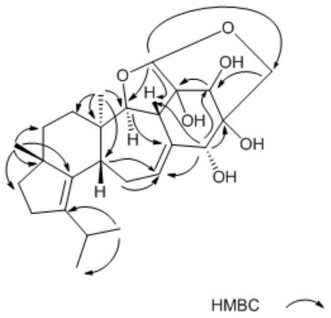 Hericium erinaceus isolate and isolating method and application thereof