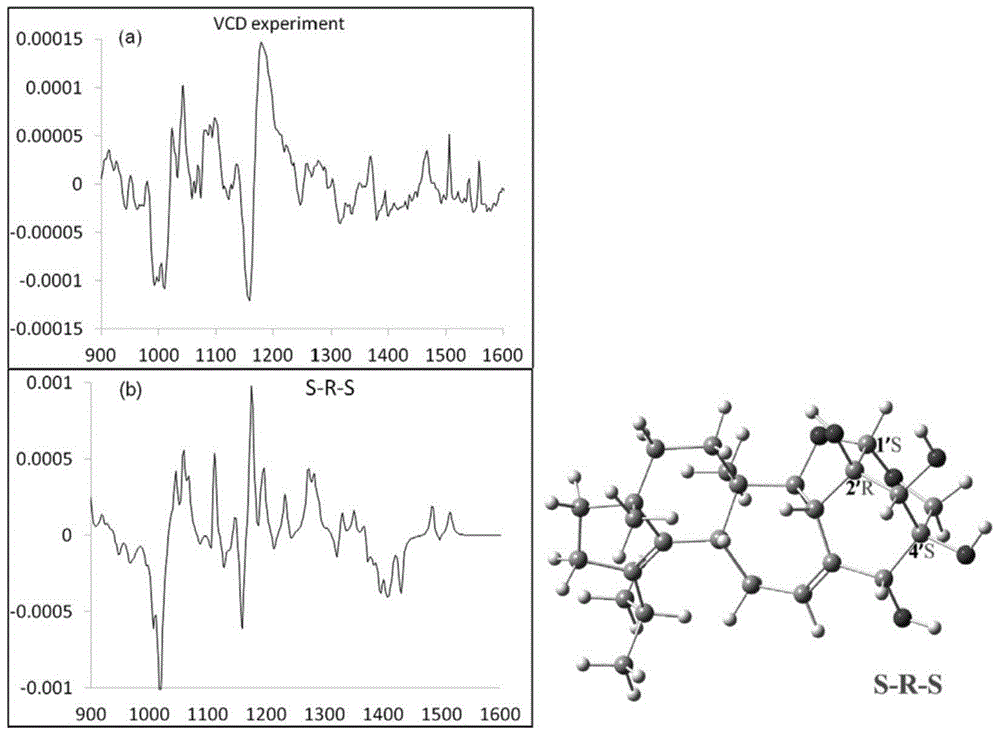 Hericium erinaceus isolate and isolating method and application thereof