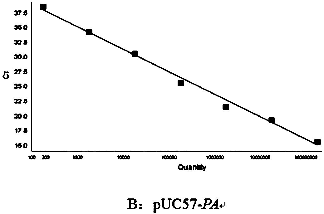 Bacillus anthracis duplex fluorescence quantitative PCR detection kit and detection method