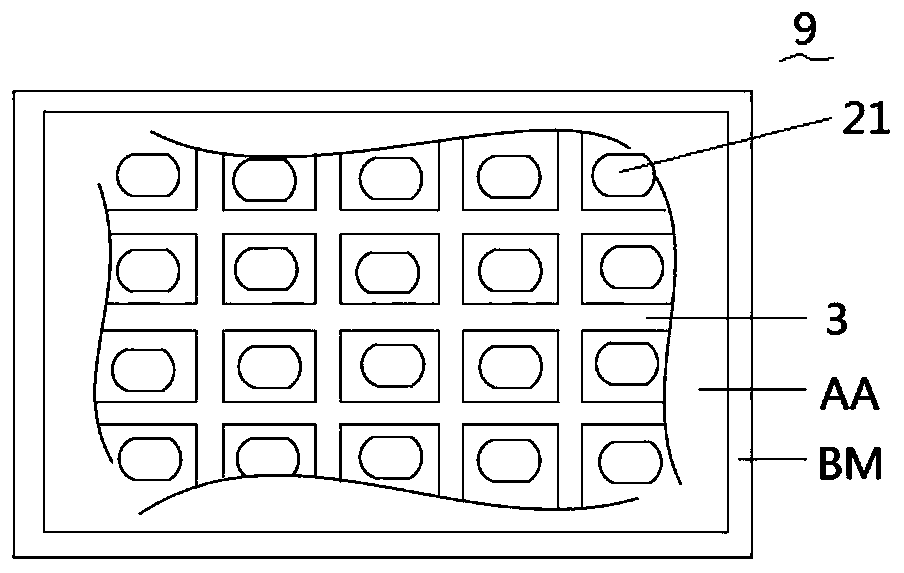 Display device and preparation method thereof