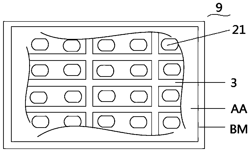 Display device and preparation method thereof