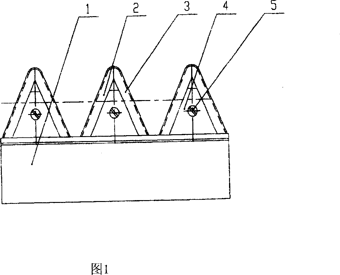 Hard alloy precision working rack type cutter and processing technique