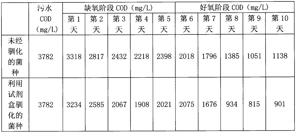 Domestication kit and domestication method of strain for coal coking wastewater COD (chemical oxygen demand) degradation